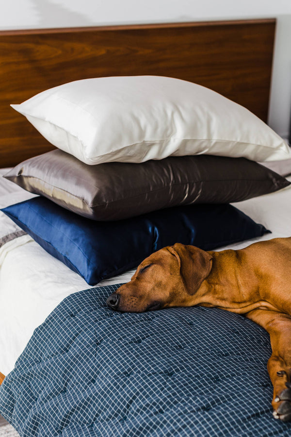 Happy Sleep Mulberry // Silk Pillowcase, 22 momme - Oeko -Tex